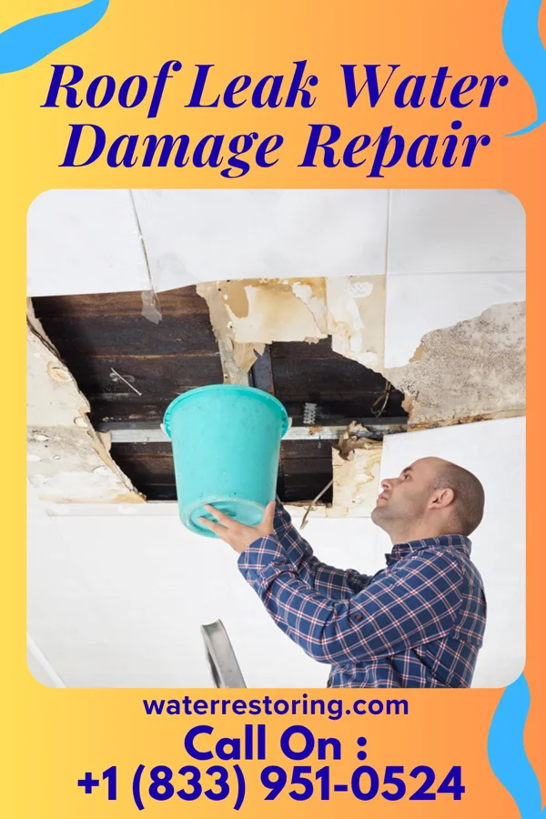 Roof Leak Water Damage Repair in Nolanville, TX